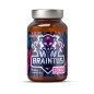   Ostrovit Braintus Focus 90 